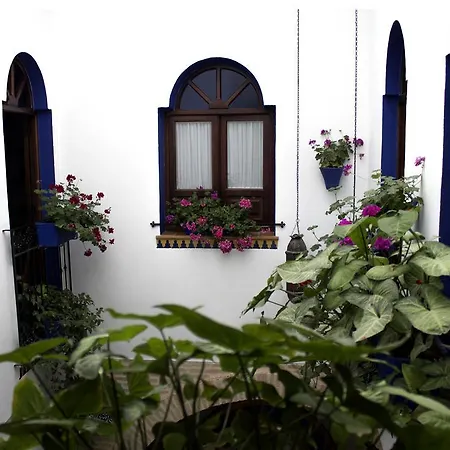 Mi Casa En