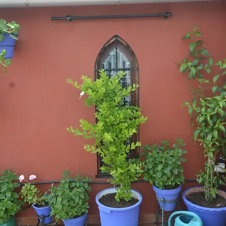 Mi Casa En *