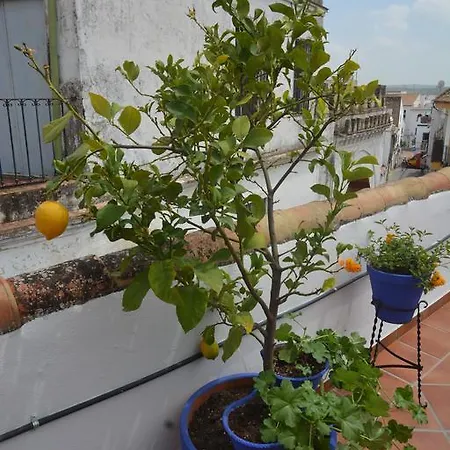 Mi Casa En