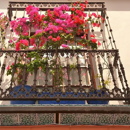 Mi Casa En *