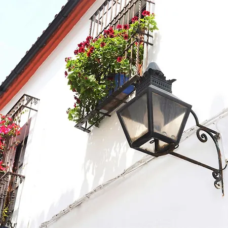 Mi Casa En Apartment Cordoba