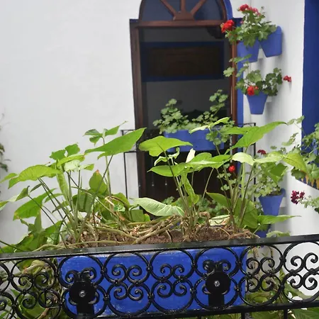 Mi Casa En *