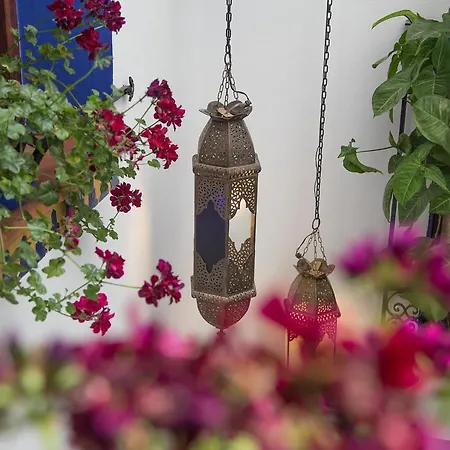 Apartamento Mi Casa En Córdoba